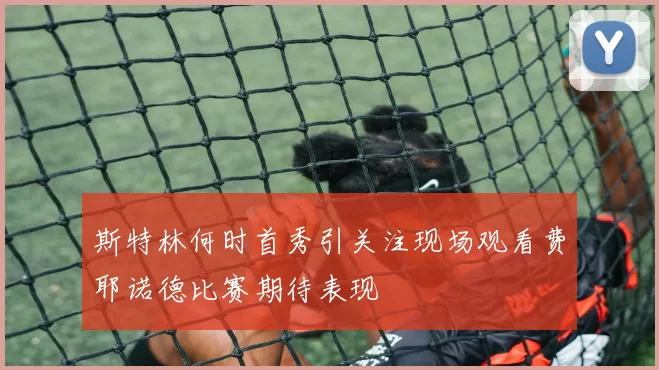 斯特林何时首秀引关注现场观看费耶诺德比赛期待表现